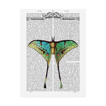 Fab Funky 'Butterfly 1' Canvas Art,24x32